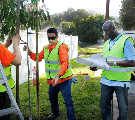 Flintridge Tree Care - Pasadena, CA