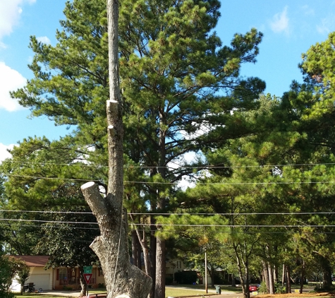 Top Notch Tree Service - Huntsville, AL