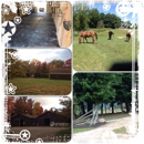 Whispering Rain Farm LLC - Horse Boarding