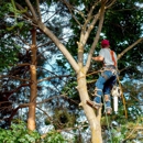 Gates Tree Service - Tree Service