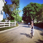 Mackinac Island Bike Shop