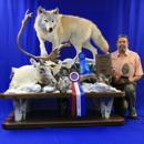 Lastella Taxidermy - Taxidermists