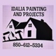 Idalia Painting and Projects