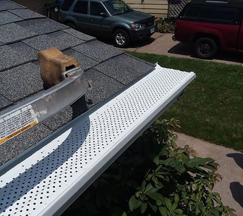 Affordable Gutter Cleaning and Repair - Rock Island, IL