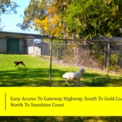 Gallery Image Number 6