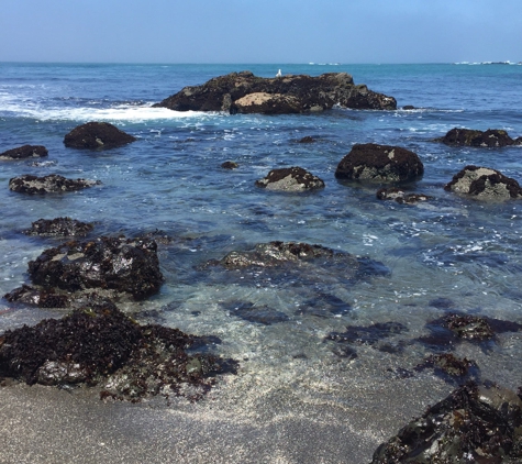 MacKerricher State Park - Fort Bragg, CA