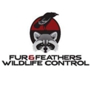 Fur & Feathers Wildlife Control