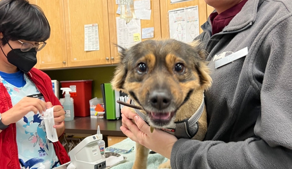 Kapolei Pet Hospital - Kapolei, HI