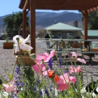 Flying U RV Park
