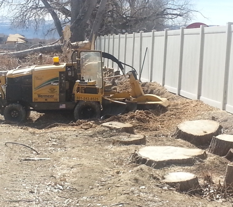 Steve's Stump Grinding - Salt Lake City, UT