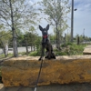 Off Leash K9 Training of Oklahoma gallery