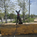 Off Leash K9 Training of Oklahoma - Pet Training