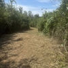 Circle B3 Mulching gallery