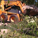 Cut Em High Cut Em Low - Arborists