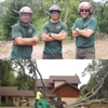 SkyView Tree Experts, Inc. gallery