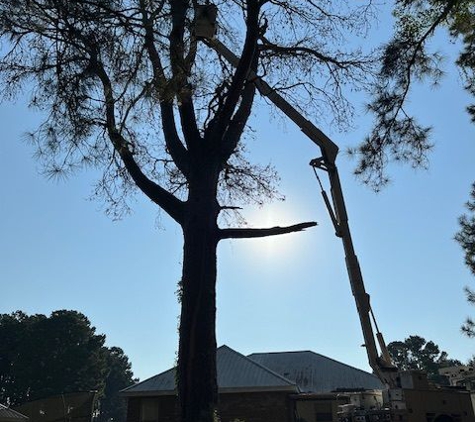 RS Tree Service - Petal, MS