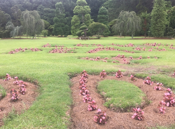 Pearl Fryar's Topiary Garden - Bishopville, SC