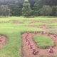 Pearl Fryar's Topiary Garden