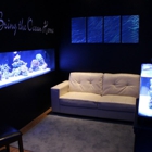 Aquatica Corals and Custom Aquariums