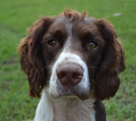 Paradise Pet Parks - Falls Creek, NSW
