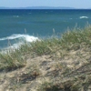 Whitefish Point Bird Observatory gallery