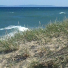 Whitefish Point Bird Observatory