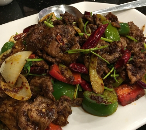 Szechuan Gourmet - Cleveland, OH