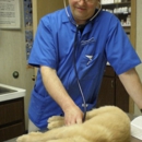 Timberline Animal Hospital - Veterinary Clinics & Hospitals