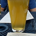 Pub 500