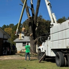 Cook's Tree Service