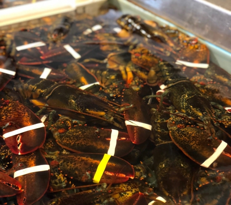 Beal's Lobster Pier - Southwest Harbor, ME