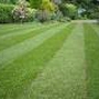 A Cut Above Affordable Lawn Services