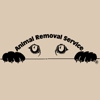 Animal Removal Service LLC gallery