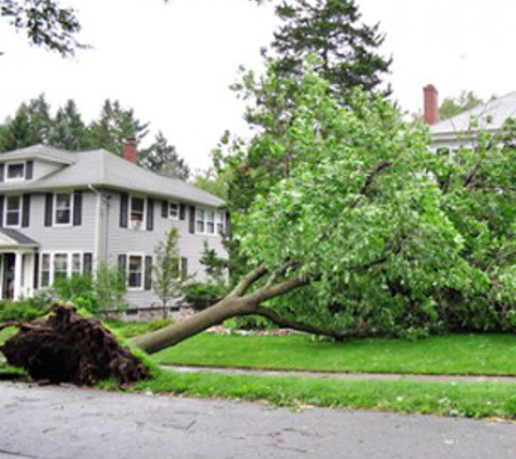 Tree & Snow Removal Services