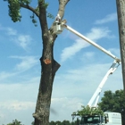 Collins Tree Service LLC