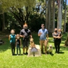 Alpha K-9 Dog Training gallery