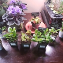 The Violet Barn - Nurseries-Plants & Trees