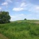 Buffalo Rock State Park