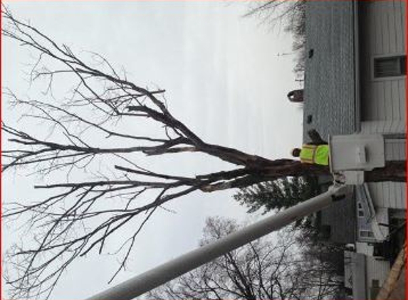 CSJ-USA Tree Service - Texico, IL