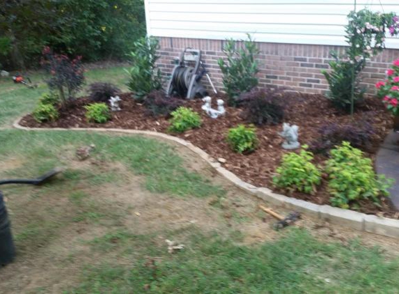 Southern scapes lawn care - Riceville, TN