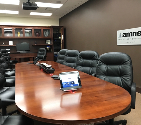 amnet Technology Solutions - Stamford, CT