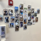 VCA Animal Care Center of Chicago