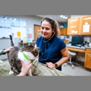 Highlands-Eldorado Veterinary Hospital - Veterinarians