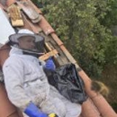 Eli the Bee Guy - Bee Control & Removal Service