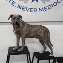Dog Training Elite Northeast Ohio Facility - Dog Training