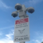 EAGLE EYE SURVEILLANCE