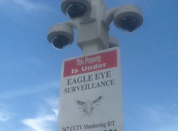 EAGLE EYE SURVEILLANCE - Royal Oak, MI