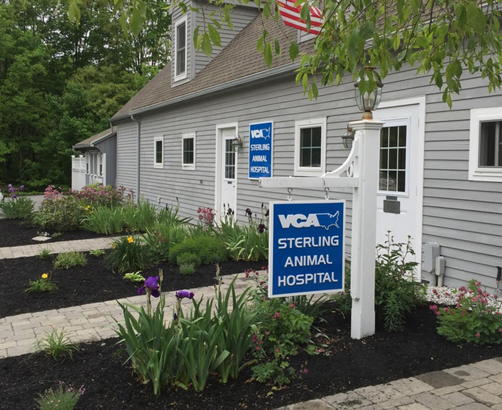 Vca lancaster clearance animal hospital