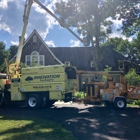 Innovation tree services and landscaping