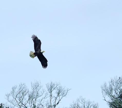 Turtle Point Golf Club - Johns Island, SC